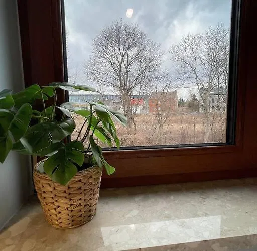 New One Bedroom Apartment With Balcony