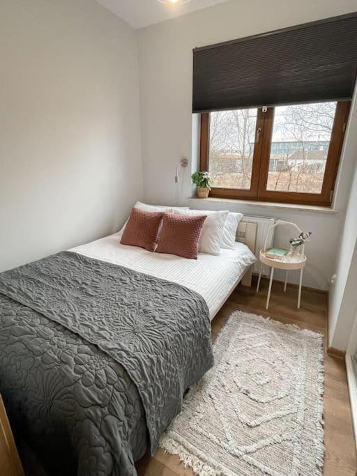 New One Bedroom With Balcony * Krakow