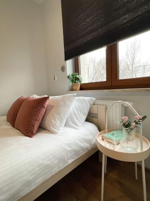 New One Bedroom With Balcony Apartment