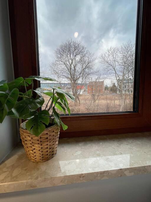 New One Bedroom With Balcony