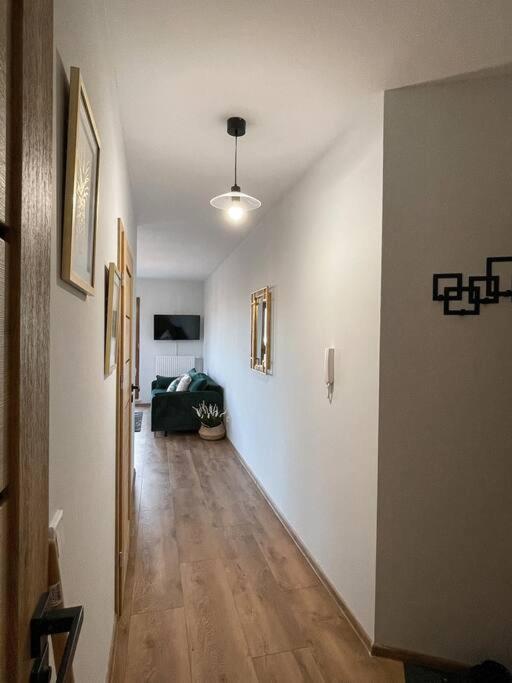 New One Bedroom With Balcony Apartmán Krakov